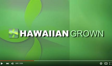 Hawaiian-Grown-TV-Billboard-with-Alpha-Channel-Wipe.jpg