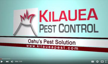 Kilauea-Pest-Control-Business-Philosophy.jpg