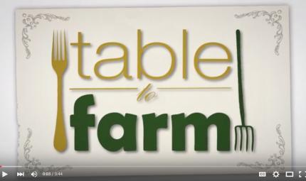 Sheraton-Waikiki-Table-To-Farm-Feature.jpg